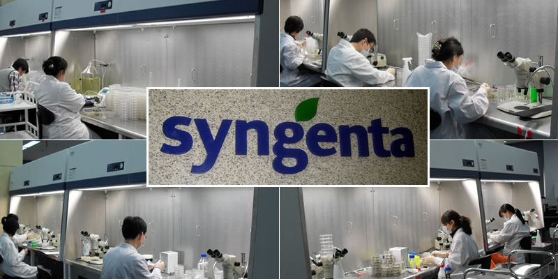Syngenta China, Biotecnología e Investigación Genómica