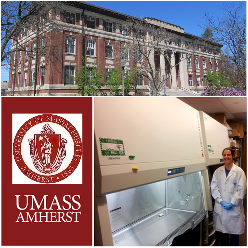 Productos Esco que ayudan a habilitar la investigación de vanguardia en la Universidad de Massachusetts, Amherst, MA.