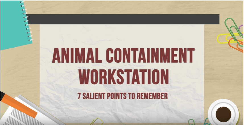 Animal Containment Workstation (7 Salient Points to Remember)