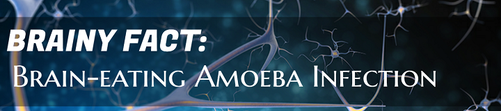Hecho inteligente: infección por ameba cerebral