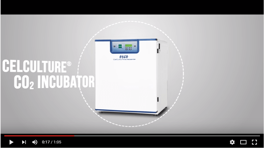 CCL | CelCulture® CO2 Incubator with Copper Chamber